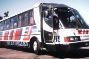 Colectivos a La Plata: ¿una solución a los problemas de transporte en Quilmes?