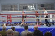Festival de Boxeo en Berisso: más de 80 peleadores y un emotivo homenaje a José Umberto Menno
