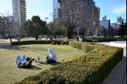 Martes soleado y agradable en La Plata: cómo estará el tiempo durante todo el día