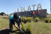 Lanzan nueva etapa de forestación en la emblemática Avenida 44 de La Plata