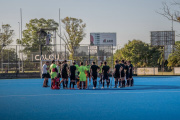 Los Leones en La Plata: agenda completa del entrenamiento y partido en la "U"