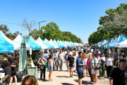Fiesta del Tomate Platense 2026: una multitud celebró en Gorina