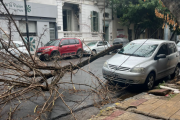 La tormenta pasó por La Plata y se vivieron momentos de tensión