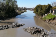CONICET y la UNLP detectaron fármacos veterinarios en arroyos de La Plata