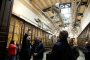 La UNLP avanzó con la restauración integral del Museo de Ciencias Naturales