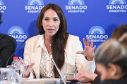 El Senado aprobó el pliego de la platense Michelli y desactivó la ofensiva del Gobierno para frenarlo