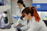 La Academia Nacional de Ciencias alertó por la fuga de cerebros en el sistema científico