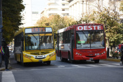 Los motivos que mantienen frenada la licitación de los micros en La Plata