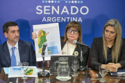 Los gobernadores le ponen un límite a Milei y voltean el capítulo de extranjerización de tierras