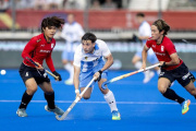 Mundial de Hockey: los Leones van por un triunfo frente a Países Bajos