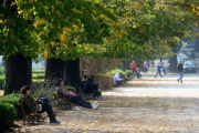 Domingo en La Plata: el cielo y la temperatura que marcarán toda la jornada