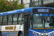 Aumenta el boleto de colectivo en La Plata desde septiembre: cuánto costará