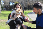 Vacunación antirrábica gratuita en Plaza Rocha: cuándo y dónde llevar a perros y gatos