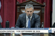 La oposición no consiguió los dos tercios para extender la emergencia nacional en Discapacidad