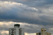 La Plata hoy: el pronóstico del SMN trae un aviso por ráfagas de hasta 80 km/h