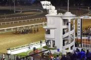 El Hipódromo de La Plata cumple 142 años: historia, turf y cultura en un mismo lugar