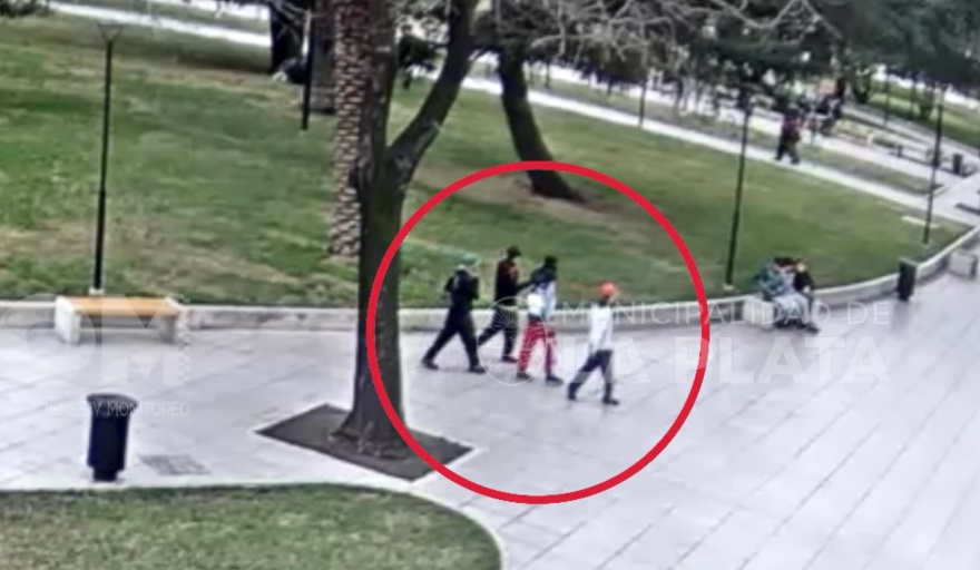 Detuvieron a un grupo de menores que robó en Plaza San Martín gracias al monitoreo urbano